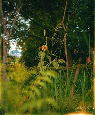 Foto - Grundstück zu verkaufen in Diedorf 580.000,00 € 2000 m²