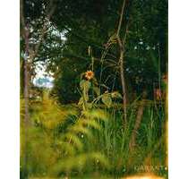 Grundstück zu verkaufen in Diedorf 580.000,00 € 2000 m²