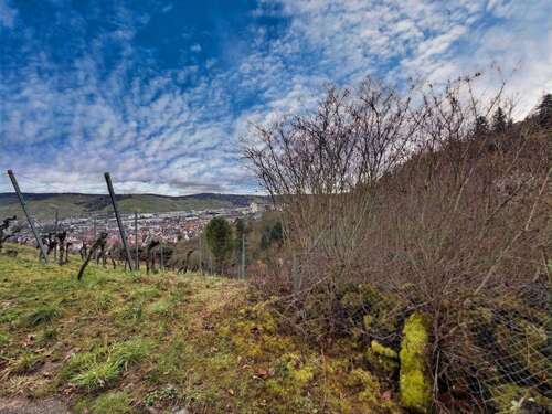 Foto - Grundstück in Stuttgart 9.000,00 € 456 m²