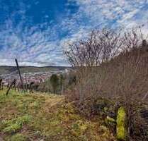 Grundstück in Stuttgart 9.000,00 € 456 m²