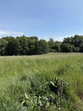 Foto - Grundstück zu verkaufen in Rehna Gletzow 159.000,00 € 1162.8 m²