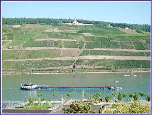 Foto - Wohnung zum Kaufen in Bingen 589.000,00 € 140 m²