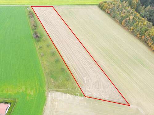Foto - Grundstück zu verkaufen in Altomünster 149.000,00 € 8031 m²