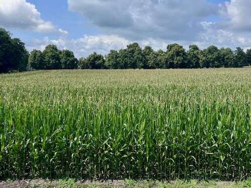 Foto - Wohnung zum Kaufen in Varel Dangast 370.000,00 € 70 m²