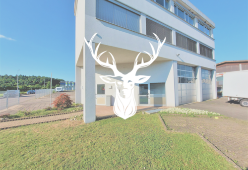 Foto - Wohnung zum Mieten in Waldshut-Tiengen 790,00 € 103 m²