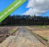 Haus zum Kaufen in Hambühren 396.350,00 € 124 m²