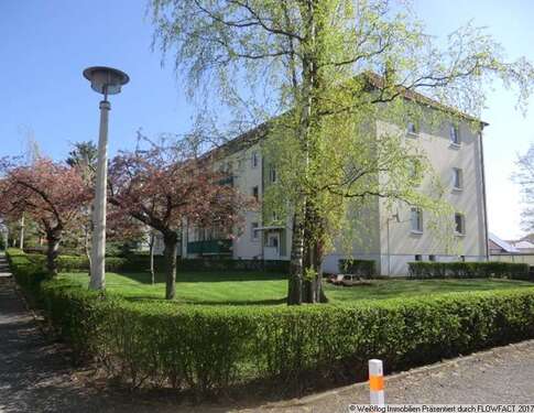 Foto - Wohnung zum Mieten in Riesa 249,00 € 32 m²