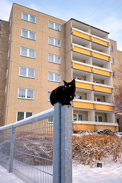 Foto - Wohnung zum Mieten in Rötha 377,30 € 53.9 m²
