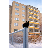 Wohnung zum Mieten in Rötha 377,30 € 53.9 m²