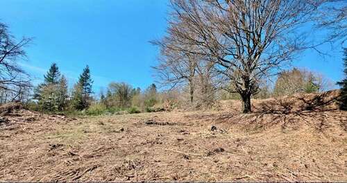 Foto - Grundstück zu verkaufen in Trippstadt 220.000,00 € 1458 m²