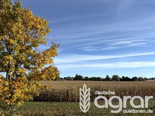 Foto - Grundstück in Zehdenick Mildenberg 60.000,00 € 54514 m²