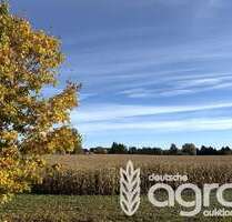 Grundstück in Zehdenick Mildenberg 60.000,00 € 54514 m² - Zehdenick / Mildenberg