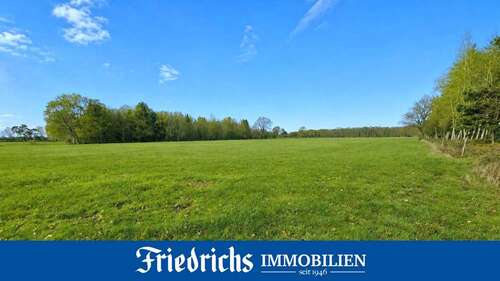 Foto - Grundstück in Edewecht 179.000,00 € 81689 m²