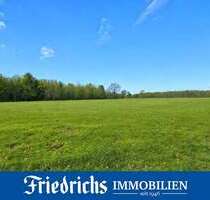 Grundstück in Edewecht 179.000,00 € 81689 m²