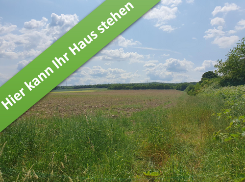 Foto - Haus zum Kaufen in Salzgitter 357.190,00 € 144 m²