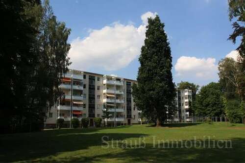 Foto - Wohnung zum Mieten in Chemnitz 300,00 € 60 m²