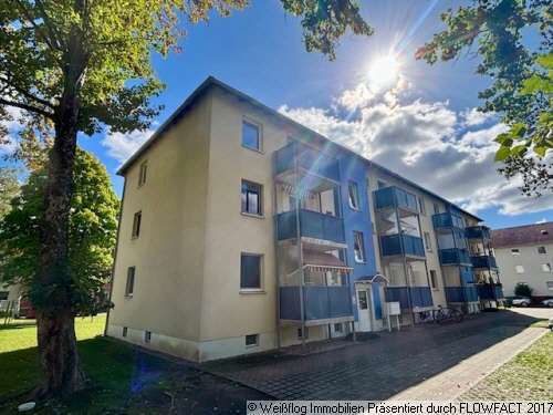 Foto - Wohnung zum Mieten in Riesa 250,00 € 43.59 m²
