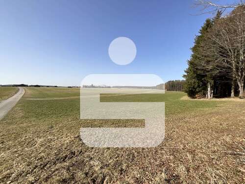 Foto - Grundstück in Kaltental 395.000,00 € 52949 m²