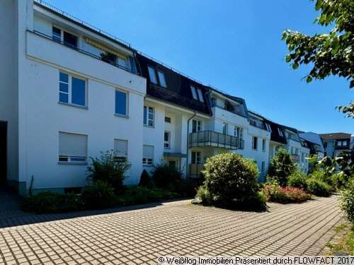 Foto - Wohnung zum Mieten in Chemnitz 360,00 € 53 m²