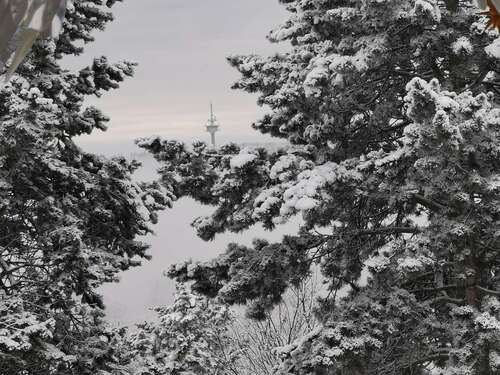 Foto - Haus zum Kaufen in Glashütten 2.360.000,00 € 493 m²