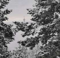 Haus zum Kaufen in Glashütten 2.360.000,00 € 493 m²