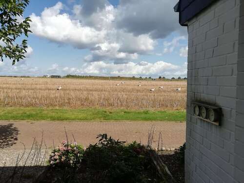 Foto - Haus zum Kaufen in Wunstorf 419.000,00 € 117 m²