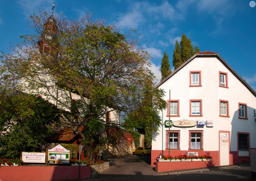 Foto - Gastronomie in Wackernheim 950.000,00 € 444 m²