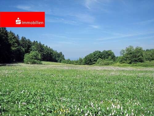 Foto - Grundstück zu verkaufen in Offenbach 500.000,00 € 365 m²
