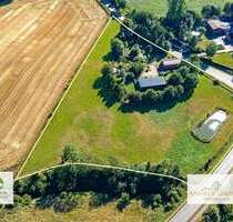 Haus zum Kaufen in Struxdorf Boholz 389.000,00 € 142 m² - Struxdorf / Boholz