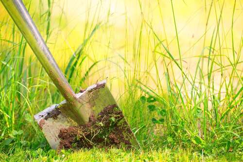 Foto - Grundstück zu verkaufen in Meiningen 29.000,00 € 736 m²