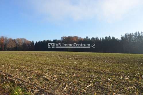 Foto - Spezialgewerbe in Schöffelding 299.000,00 € 35008 m²
