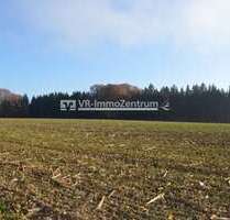 Spezialgewerbe in Schöffelding 299.000,00 € 35008 m²