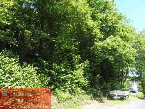 Foto - Grundstück zu verkaufen in Netphen 59.000,00 € 451 m²