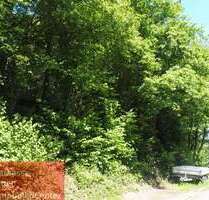 Grundstück zu verkaufen in Netphen 59.000,00 € 451 m²