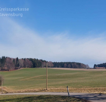 Haus zum Kaufen in Leutkirch 820.000,00 € 136.84 m²