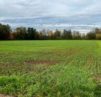 Grundstück zu verkaufen in Frankfurt am Main 59.900,00 € 3568 m²