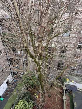 Foto - Wohnung zum Kaufen in Köln 389.000,00 € 59 m²