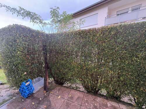 Foto - Wohnung zum Mieten in Ispringen 510,00 € 46 m²