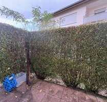 Wohnung zum Mieten in Ispringen 510,00 € 46 m²