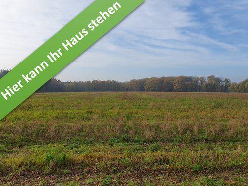 Foto - Haus zum Kaufen in Bad Fallingbostel 356.950,00 € 136 m²