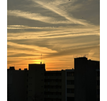 Wohnung zum Mieten in Berlin 1.810,00 € 82.34 m²