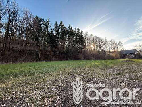 Foto - Grundstück in Waldheim 22.900,00 € 28032 m²