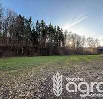 Grundstück in Waldheim 22.900,00 € 28032 m²