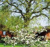 Haus zum Kaufen in Cuxhaven 390.000,00 € 114.14 m²