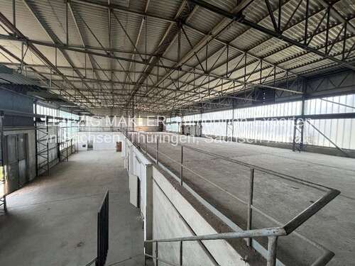 Foto - Halle in Leipzig Dölitz-Dösen 3.000.000,00 € 3469 m²