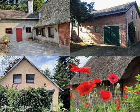 Foto - Haus zum Kaufen in Schwanewede 599.000,00 € 300 m²