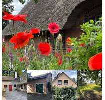 Haus zum Kaufen in Schwanewede 599.000,00 € 300 m²