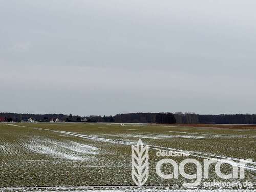 Foto - Grundstück in Loitz 19.900,00 € 13703 m²