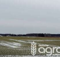 Grundstück in Loitz 19.900,00 € 13703 m²