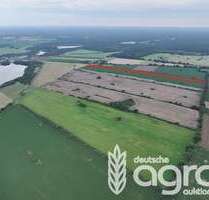 Grundstück in Feldberger Seenlandschaft Rosenhof 120.000,00 € 66185 m² - Feldberger Seenlandschaft / Rosenhof